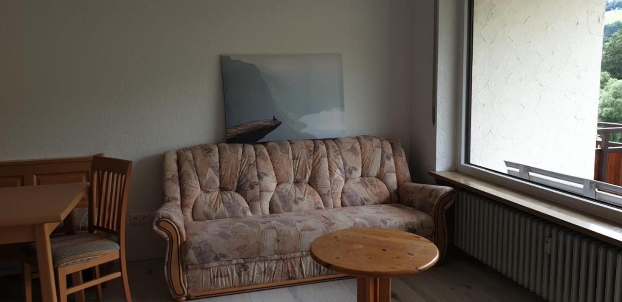 Haus Am Sonnenberg,Todtnauberg, Ferienwohnung 105, Direkt Am Skilift-Skipiste, Naehe Feldberg Kültér fotó