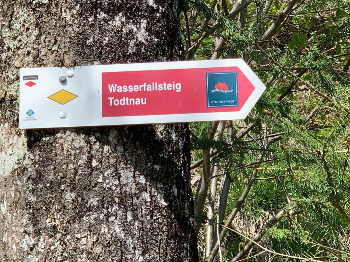 Haus Am Sonnenberg,Todtnauberg, Ferienwohnung 105, Direkt Am Skilift-Skipiste, Naehe Feldberg Kültér fotó
