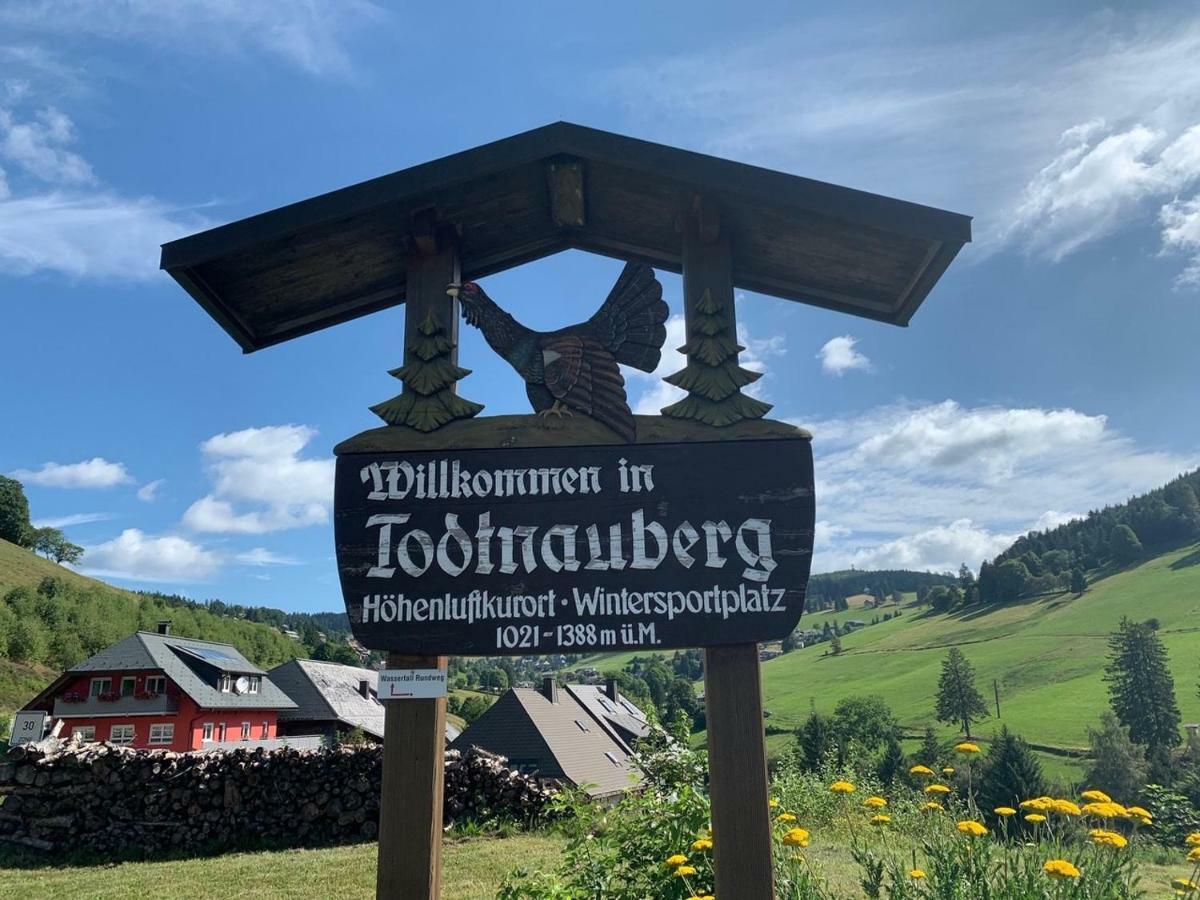 Haus Am Sonnenberg,Todtnauberg, Ferienwohnung 105, Direkt Am Skilift-Skipiste, Naehe Feldberg Kültér fotó